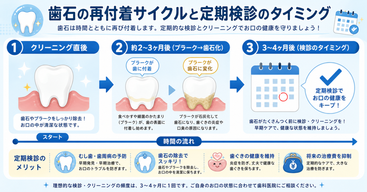 ■歯医者の定期検診の頻度は「3〜4ヶ月に1回」が目安になる理由
