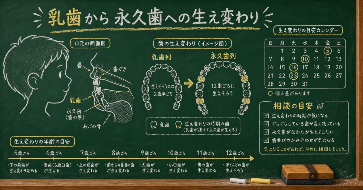 子どもの歯並び治療はいつから?7歳からの受診目安と受診の基準